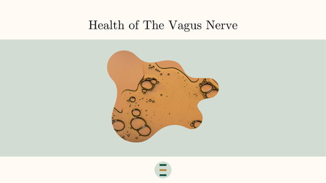 Vagus nerve